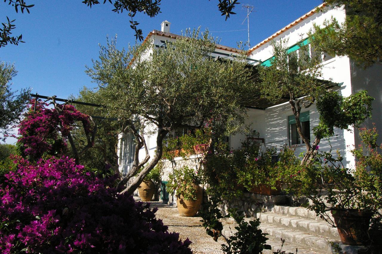 Il Rifugio B&B Capri Anacapri  Ngoại thất bức ảnh
