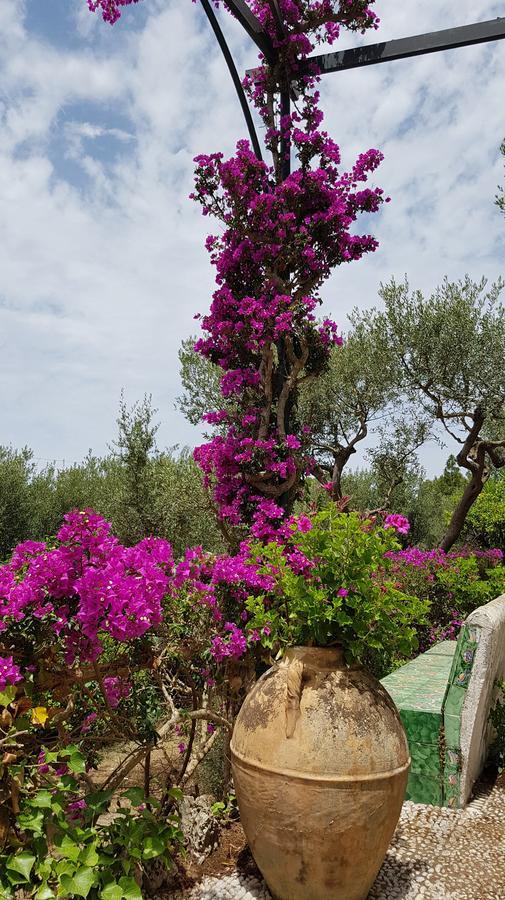 Il Rifugio B&B Capri Anacapri  Ngoại thất bức ảnh