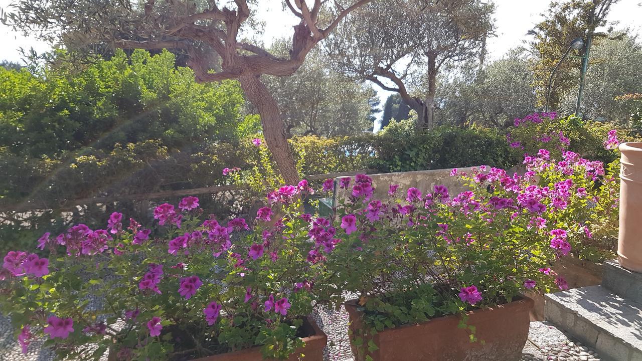 Il Rifugio B&B Capri Anacapri  Ngoại thất bức ảnh